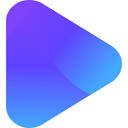 Translate Video logo