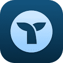 Triple Whale Willy logo